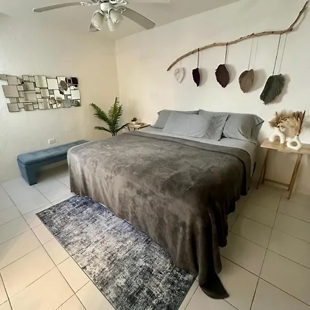 Hermoso Estudio En El Centro Y Corazon De Cancun